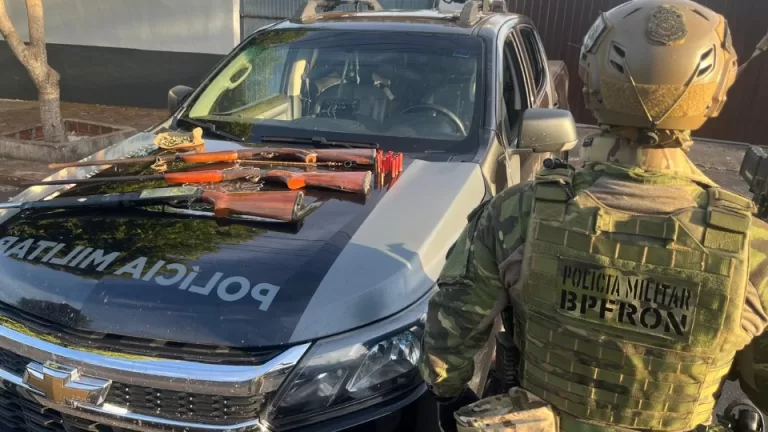 Homem é detido e espingardas e munições são apreendidas em Terra Roxa