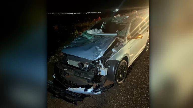 Motorista de carro atropela cavalo na PR-239 e família fica ferida