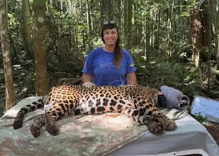 Oscar Verde: bióloga do Onças do Iguaçu vence prêmio na Inglaterra