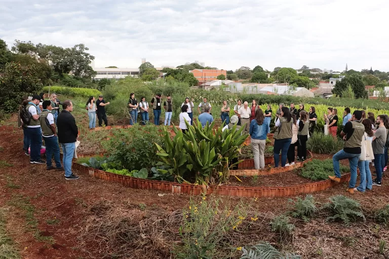 Itaipu e Lindeiros promovem visitas técnicas para gestores de educação ambiental e cultural