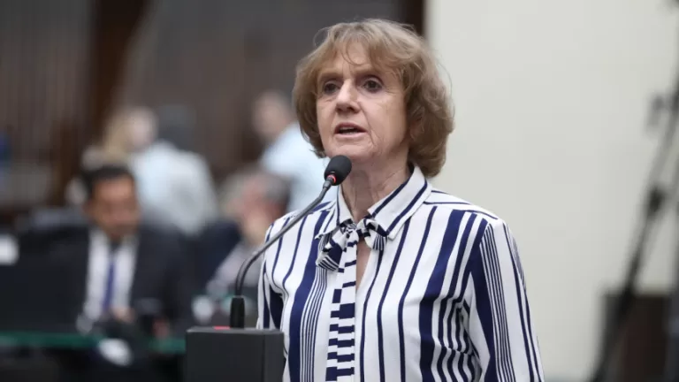 Deputada Luciana Rafagnin quer auxílio-alimentação a professores e técnicos temporários do ensino superior