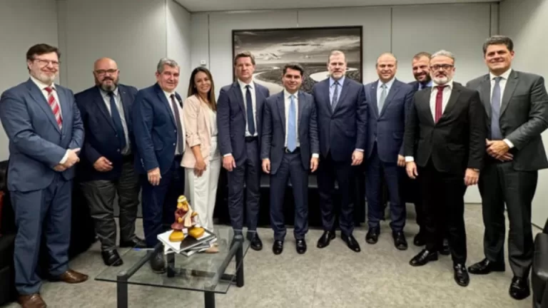 Missão paranaense defende APAEs no Superior Tribunal Federal