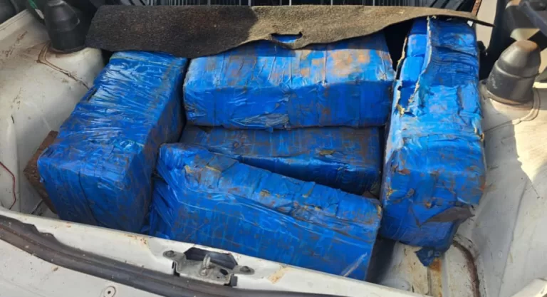 Morador de Toledo é preso com 113 quilos de maconha após perseguição