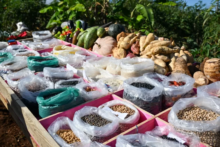 Itaipu triplica capacidade de atendimento a agricultores familiares de 434 municípios do Paraná e Mato Grosso do Sul