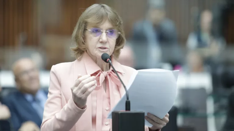 Deputada Luciana Rafagnin solicita dados sobre nascimentos prematuros e óbitos neonatais no Paraná