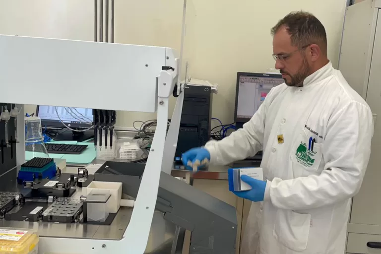 Saúde confirma dois casos autóctones de febre Oropouche no Paraná