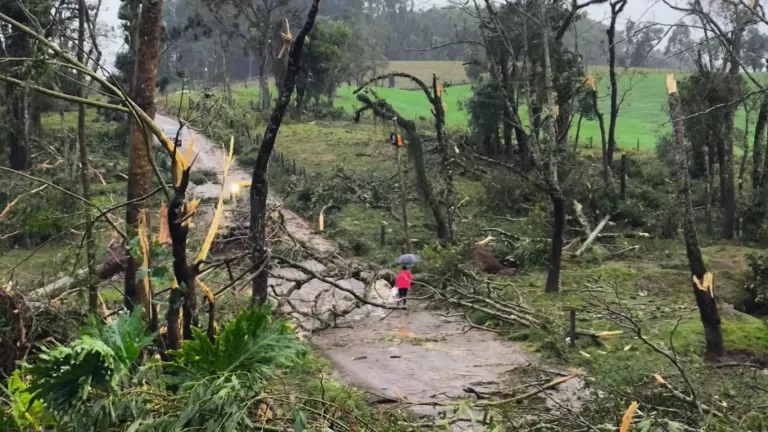 Tornado provoca destruição em área rural do Rio Grande do Sul