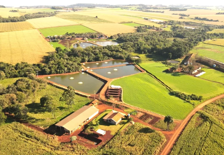 Prefeitura de Marechal Rondon pretende criar programa de desenvolvimento agropecuário