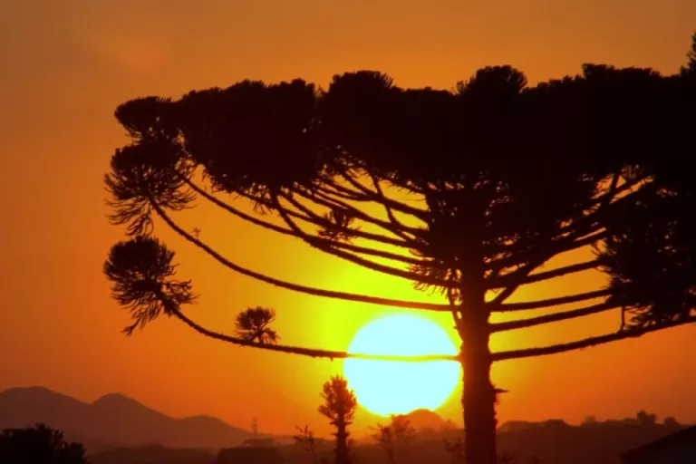 Maio será com pouca chuva e temperaturas acima da média no Paraná, aponta Simepar; veja detalhes