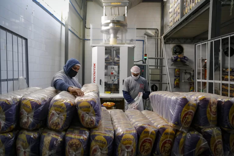 Paraná tem maior aumento na renda per capita entre estados do Sul, Sudeste, Norte e Centro-Oeste