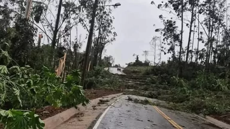Vento provoca duas mortes em Santa Catarina; Oeste pode ter tido tornado