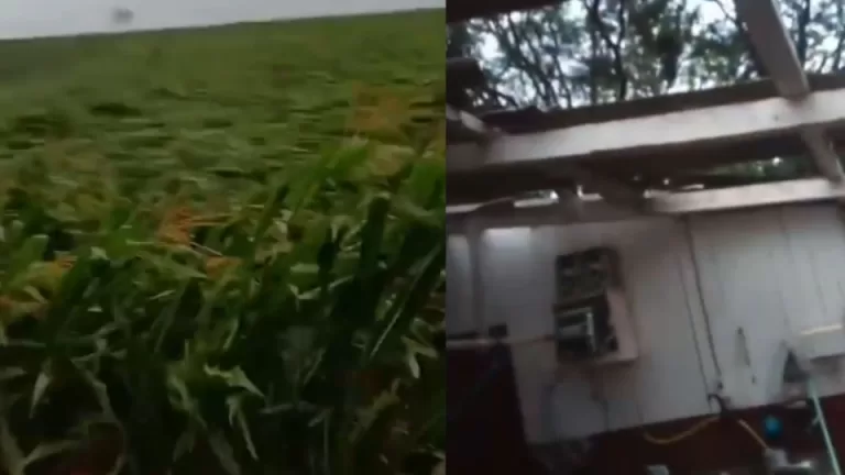 Fortes ventos deixam rastro de destruição na Colônia Nova em Corbélia