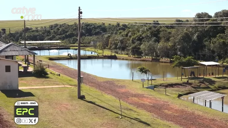 Produtora que perdeu 55 toneladas de peixes aciona Copel na Justiça para receber indenização