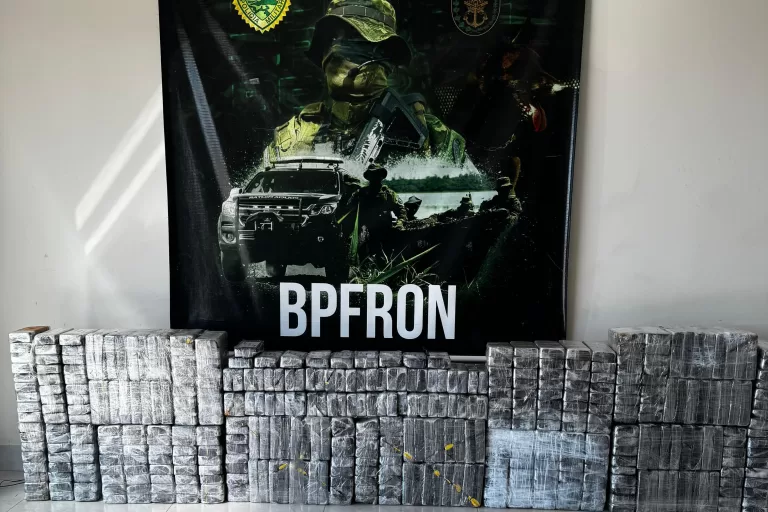 Com aumento de 155%, Paraná bate recorde de apreensão de drogas no 1º trimestre