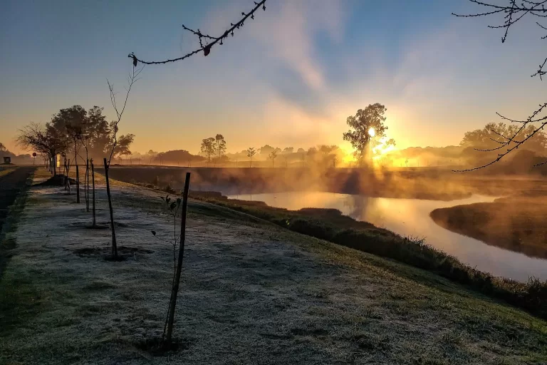 Geada dá as caras nas cidades, mas frio deve diminuir nos próximos dias no Paraná