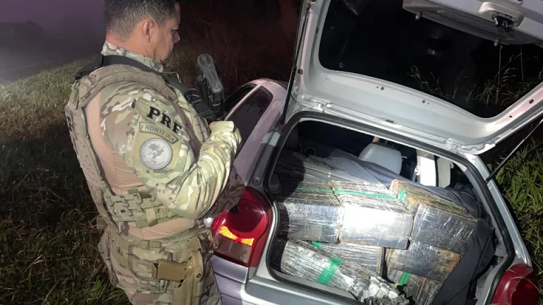 Quase 400 quilos de maconha são apreendidos em Cascavel