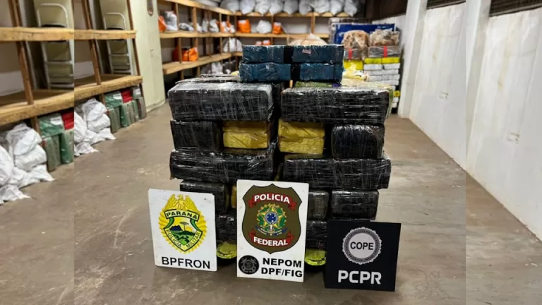 655 quilos de maconha são encontrados em meio à vegetação em Santa Helena