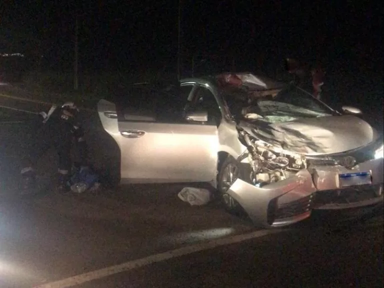 Vaca solta na pista provoca acidente na região