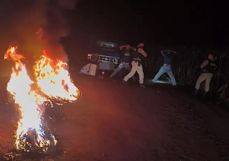 Grupo é detido queimando fios suspostamente furtados de placas solares em Palotina
