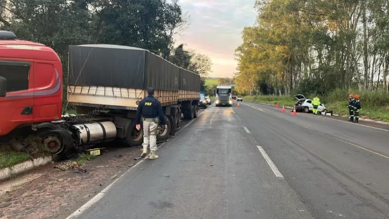 Dois jovens morrem em batida frontal entre carro e bitrem na BR-376