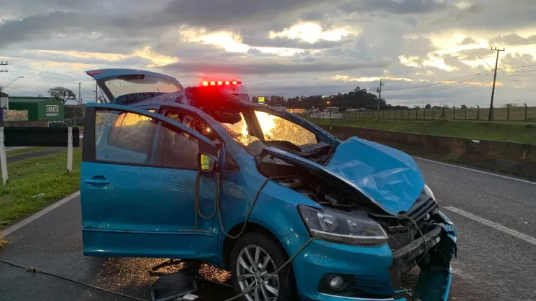 Cavalo é atropelado na BR-277 em Cascavel