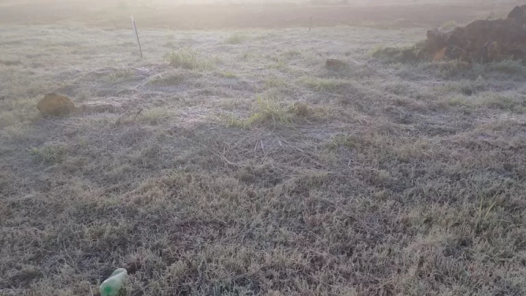 Várias cidades do Paraná registram a menor temperatura do ano