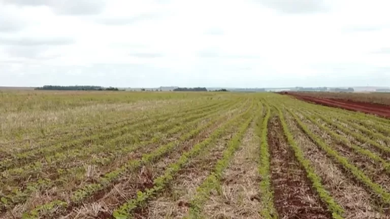 Congelamento dos recursos destinados ao seguro rural é recebido com preocupação pelo setor do agronegócio