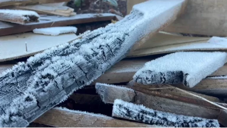 29 municípios do Paraná registram as menores temperaturas de 2025