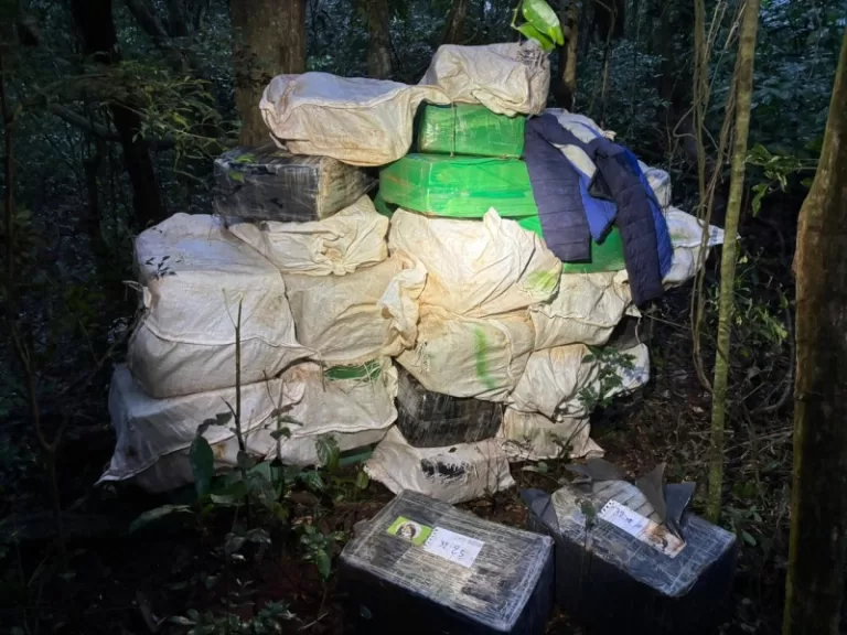 Uma tonelada de maconha é apreendida na zona rural de Mercedes
