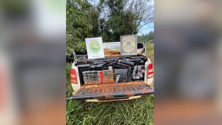 879 quilos de maconha são apreendidos em Santa Tereza do Oeste