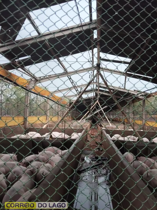 Temporal com ventos fortes deixa rastro de destruição no interior de Santa Helena