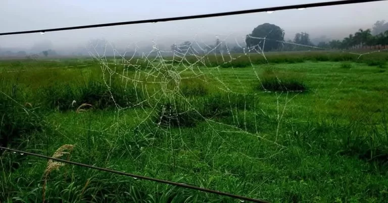A magia em nossas mãos