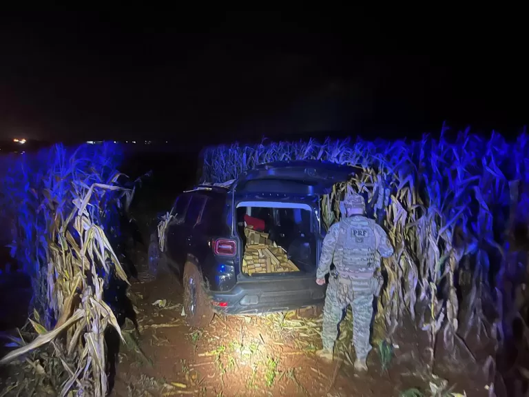 PRF apreende 600 quilos de maconha na BR-277 após tentativa de fuga; veja vídeo