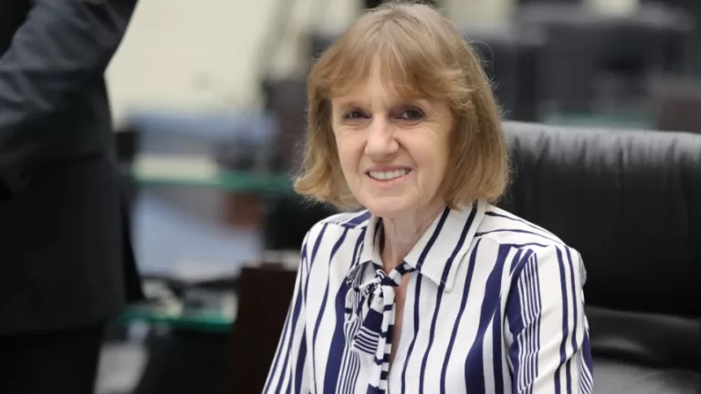 Deputada Luciana Rafagnin propõe inclusão do queijo colonial na cesta básica estadual do Paraná