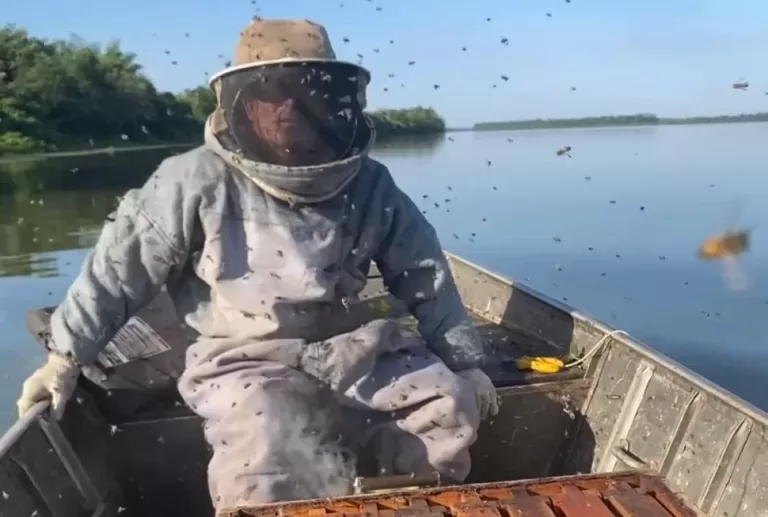 Sebrae e apicultores de Guaíra buscam reconhecimento e qualificação do mel produzido