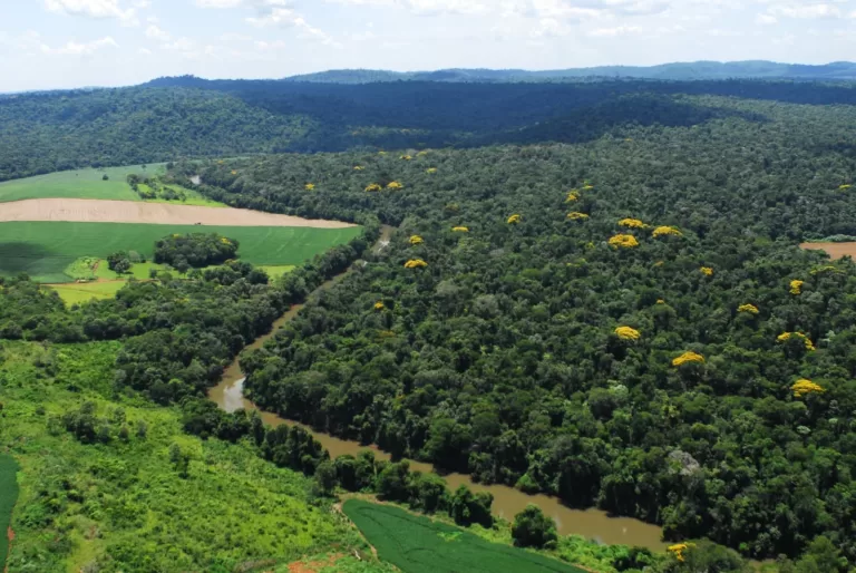 Parceria entre Adetur e Parque Nacional do Iguaçu visa turismo sustentável e valorização comunitária
