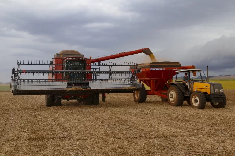 Vazio sanitário da soja inicia nesta segunda no Norte, Noroeste, Centro-Oeste e Oeste