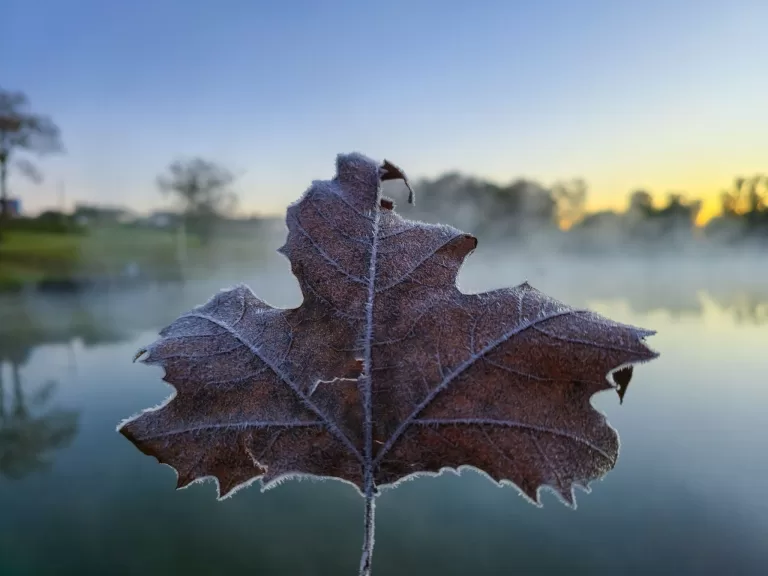 Dia frio, coração quente