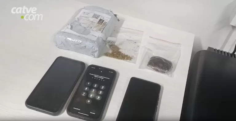 Patrulha Rural e Operação com Cães apreendem haxixe e maconha em ação no centro de Toledo