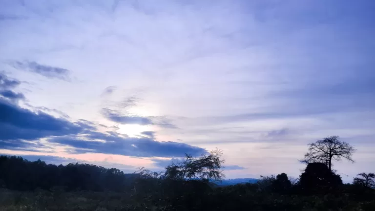 Noites mais longas do ano estão chegando: veja como será o inverno no Brasil em 2025