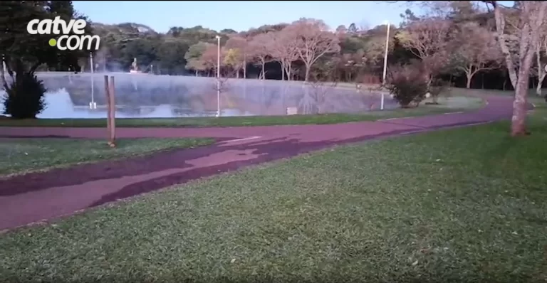 Toledo amanhece com sensação térmica de -4°C e geada