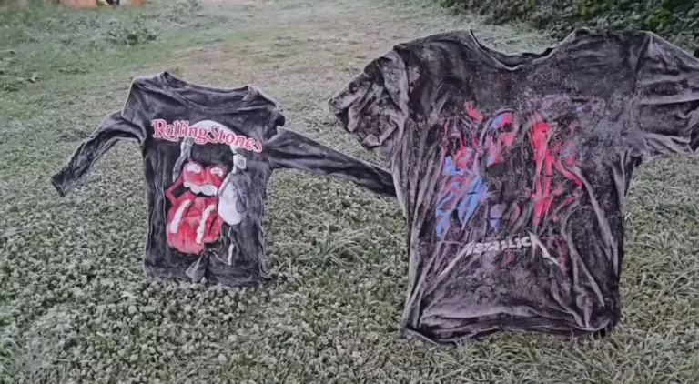 Camiseta congelada, geada e -6,5ºC marcam o dia mais frio do ano em Santa Catarina