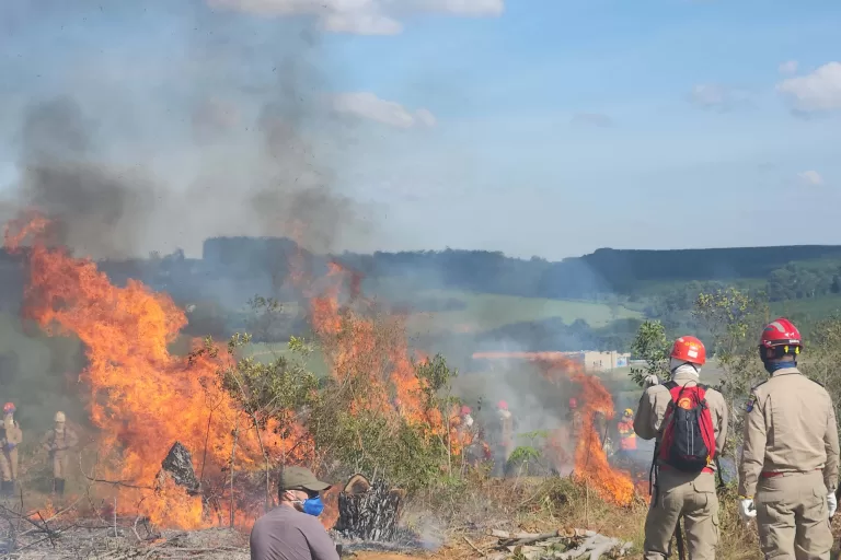 Incêndios florestais caem 50% em agosto, mas tempo seco em setembro preocupa