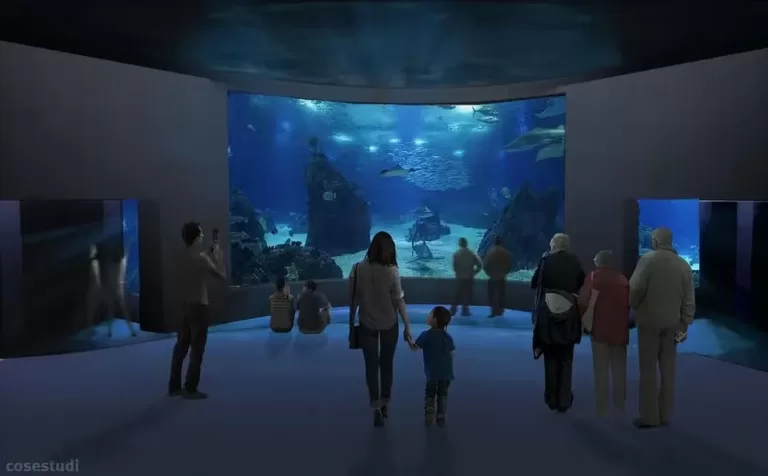 AquaFoz: veja as atrações do novo aquário de Foz do Iguaçu que reúne tanques gigantes e peixes raros