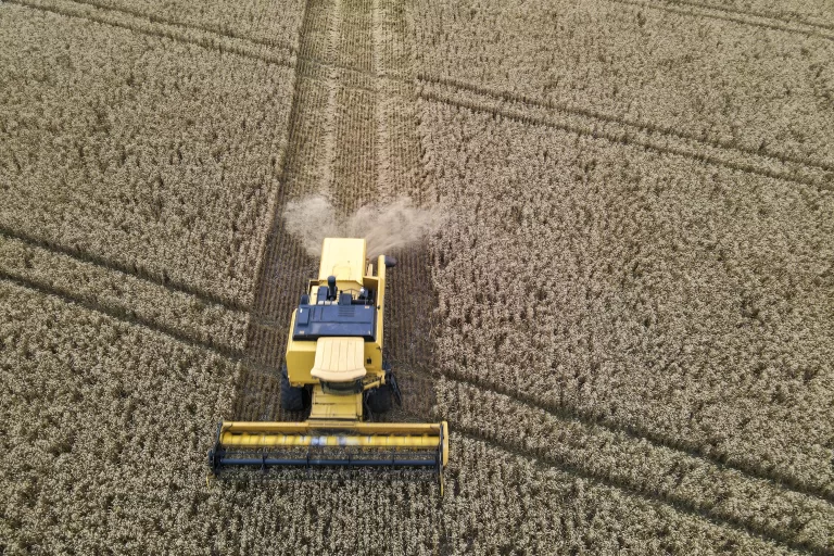 PIB do Paraná cresce 5% no 1º trimestre, quase o dobro da média nacional e acima dos Estados Unidos