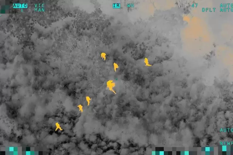 Câmeras térmicas: Falcão da PMPR detecta fugitivo que transportava 215 quilos de drogas