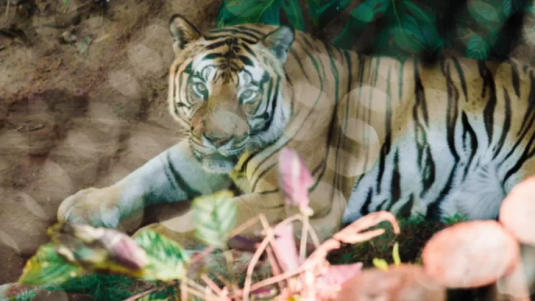 Zoológico de Cascavel amplia atendimentos e abrirá os portões todos os dias nas férias escolares