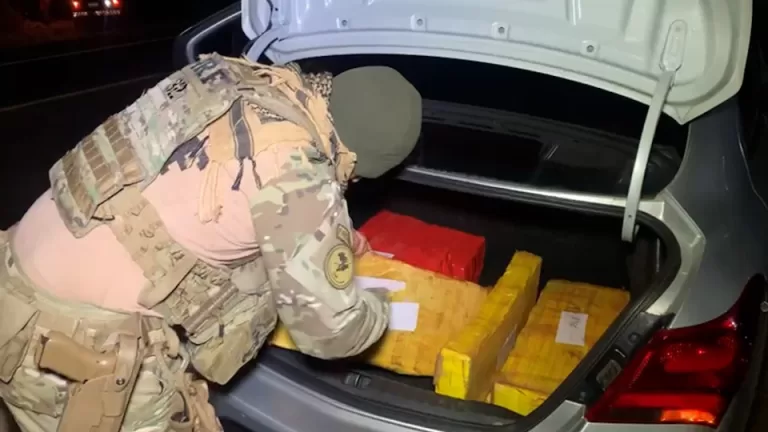 PRF apreende cerca de 450 quilos de maconha na BR-277