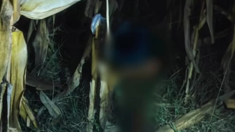 Polícia Federal pede para investigar caso de indígena decapitado no lugar da Polícia Civil