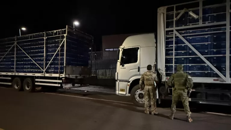 Seis pessoas são presas pelo transporte ilegal de aves destinadas ao Paraguai